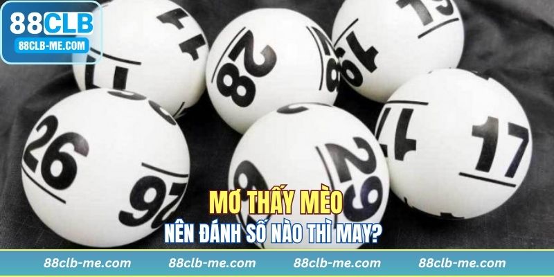 Mỗi tình huống lại cho biết một điềm báo khác nhau