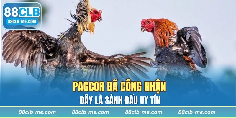 PAGCOR đã công nhận đây là sảnh đấu uy tín