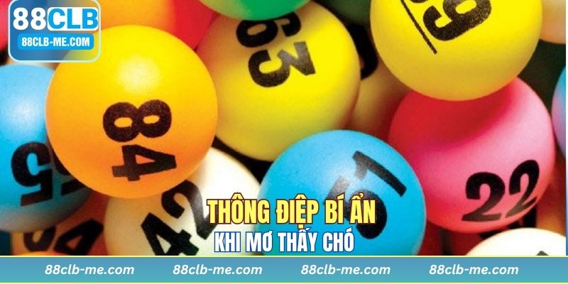 Số lượng thú cưng ẩn chứa những thông điệp khác biệt